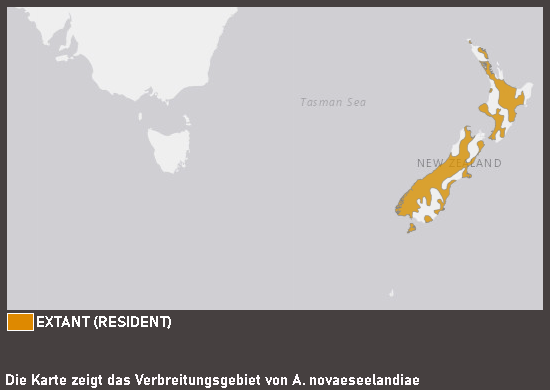 Verbreitungskarte Maoriente