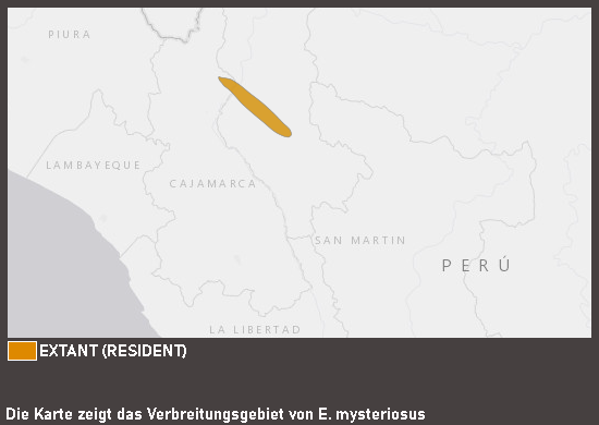Verbreitungsgebiet Maranon-Baumsteiger