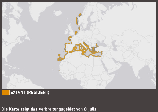 Verbreitungskarte Meerjunker