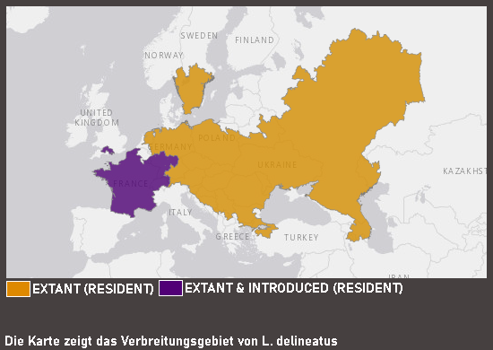 Verbreitungskarte Moderlieschen