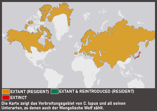 Verbreitungskarte Mongolischer Wolf