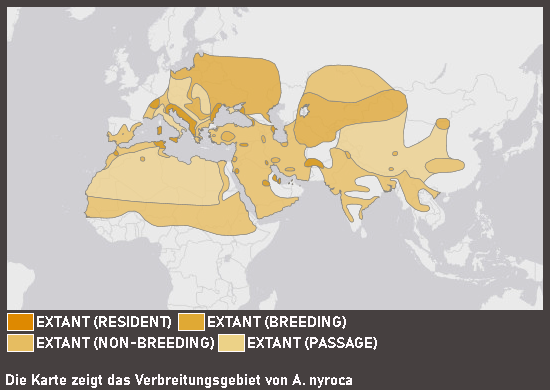 Verbreitungskarte Moorente