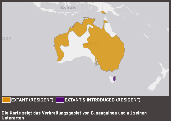 Verbreitungskarte Nacktaugenkakadu (kein Unterartenstatus)