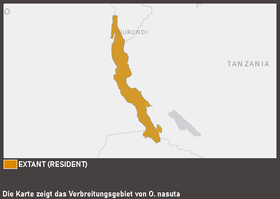 Verbreitungskarte Nasenbuntbarsch