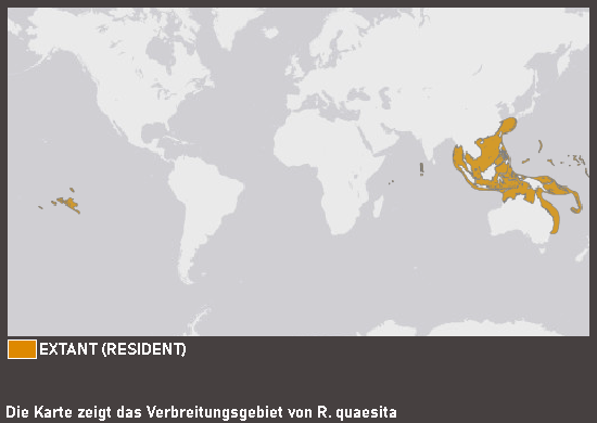 Verbreitungskarte Nasenmuräne