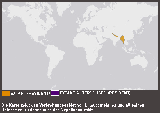 Verbreitungskarte Nepalfasan