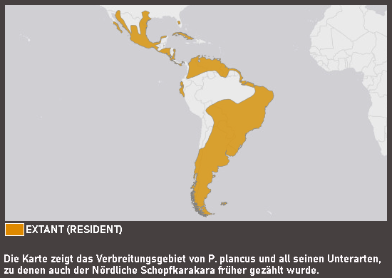 Verbreitungskarte Nördlicher Schopfkarakara
