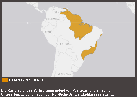 Verbreitungskarte Nördlicher Schwarzkehlarassari