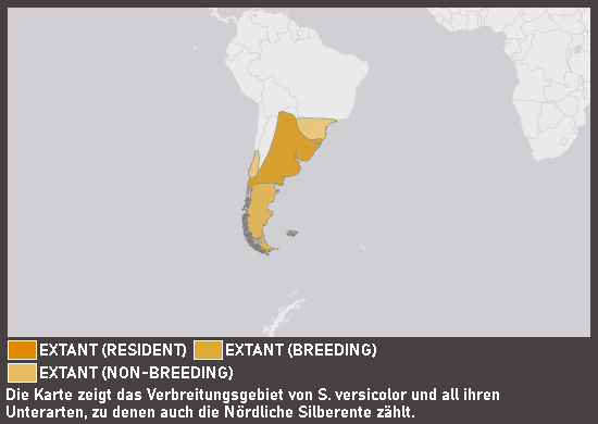 Verbreitungskarte Nördliche Silberente