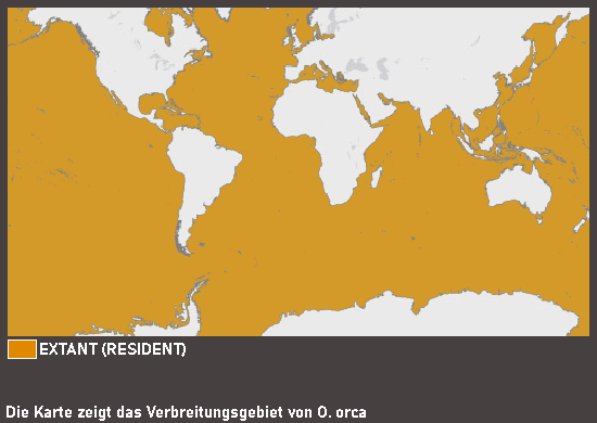 Verbreitungskarte Orca