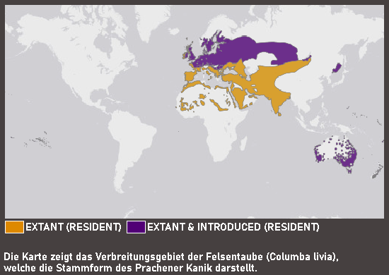 Verbreitungskarte Prachener Kanik