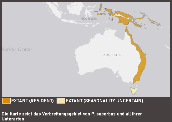 Verbreitungskarte Prachtfruchttaube (kein Unterartenstatus)