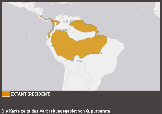 Verbreitungskarte Purpurbrustkotinga