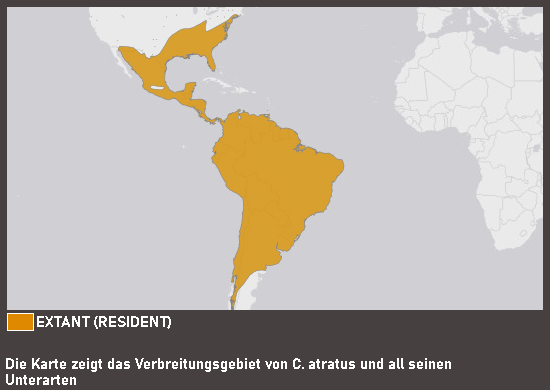 Verbreitungskarte Rabengeier
