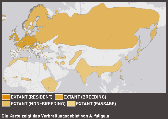Verbreitungskarte Reiherente
