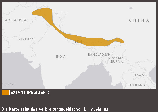 Verbreitungskarte Rostschwanz-Glanzfasan