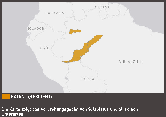 Verbreitungskarte Rotbauchtamarin