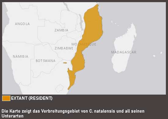 Verbreitungskarte Rotducker