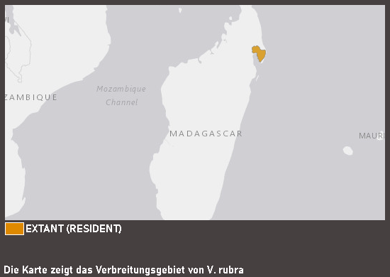 Verbreitungskarte Roter Vari