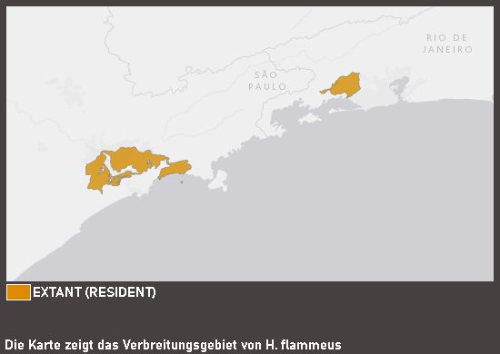 Verbreitungskarte Roter von Rio
