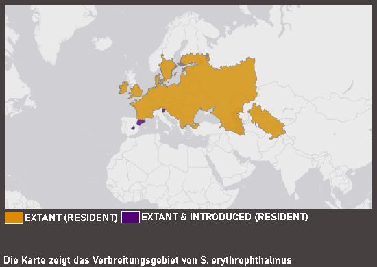 Verbreitungskarte Rotfeder