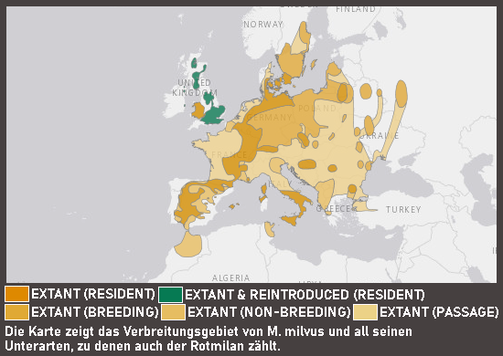 Verbreitungskarte Rotmilan