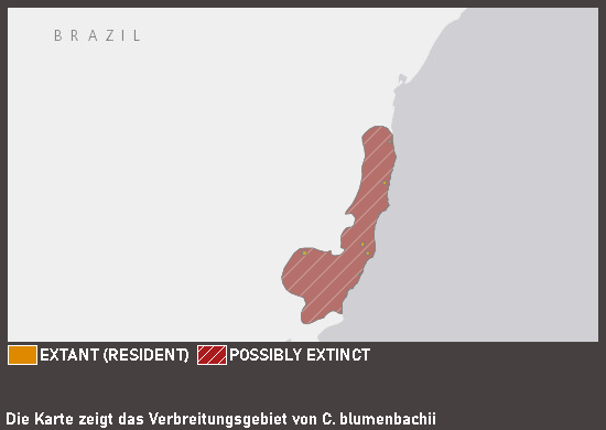 Verbreitungskarte Rotschnabelhokko
