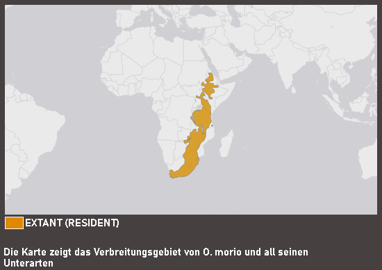 Verbreitungskarte Rotschwingenstar