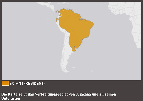 Verbreitungskarte Rotstirn-Blatthühnchen