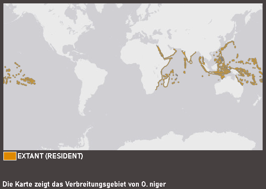 Verbreitungskarte Rotzahn-Drückerfisch