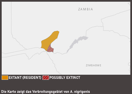Verbreitungskarte Rußköpfchen