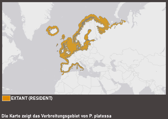 Verbreitungskarte Scholle