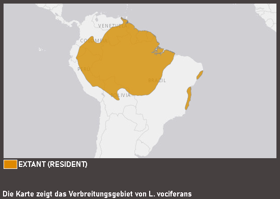 Verbreitungskarte Schreikotinga