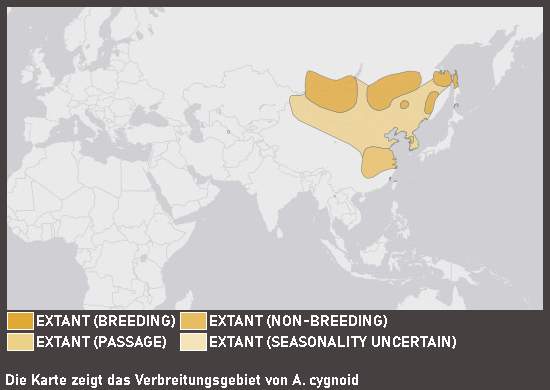 Verbreitungskarte Schwanengans