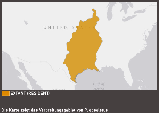 Verbreitungskarte Schwarze Erdnatter