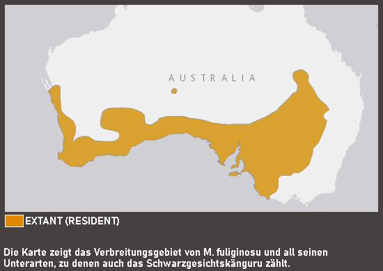 Verbreitungskarte Schwarzgesichtskänguru