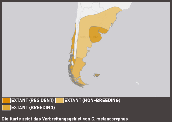 Verbreitungskarte Schwarzhalsschwan