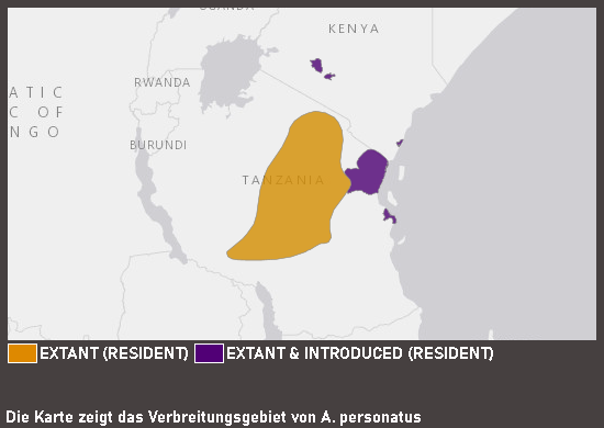Verbreitungskarte Schwarzköpfchen