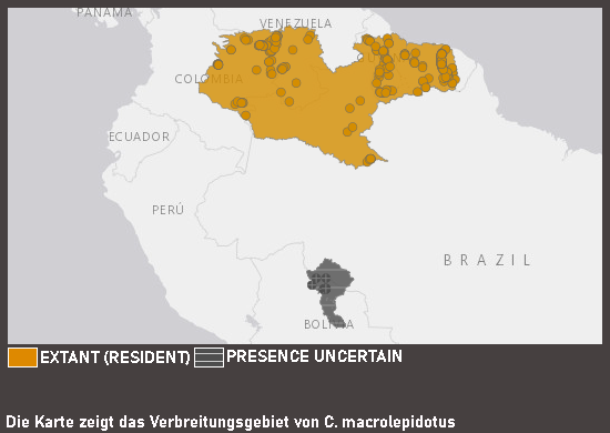 Verbreitungskarte Südamerikanischer Großschuppensalmler