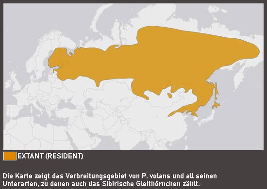 Verbreitungskarte Sibirisches Gleithörnchen
