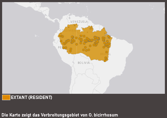 Verbreitungskarte Silbergabelbart
