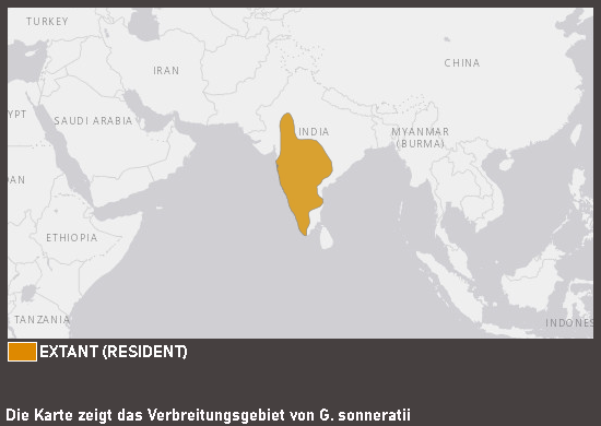 Verbreitungskarte Sonnerathuhn
