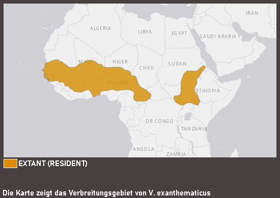 Verbreitungskarte Steppenwaran