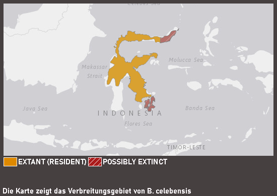 Verbreitungskarte Sulawesi-Hirscheber