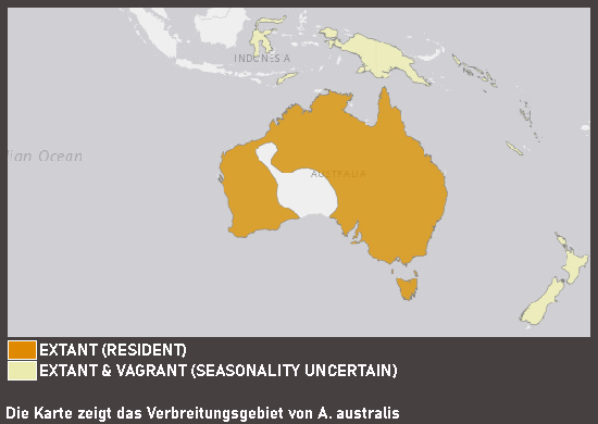 Verbreitungskarte Tasmanmoorente