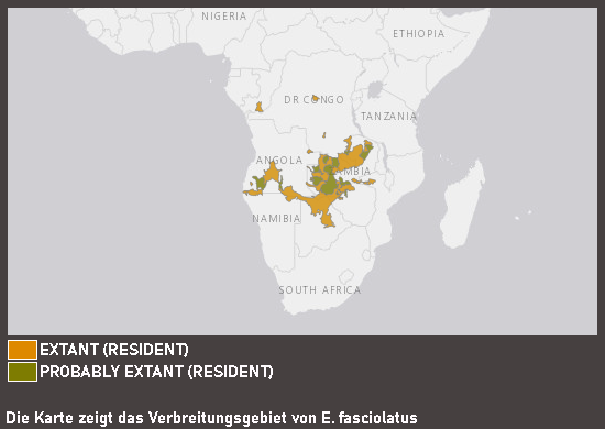 Verbreitungskarte Tigerbarbe