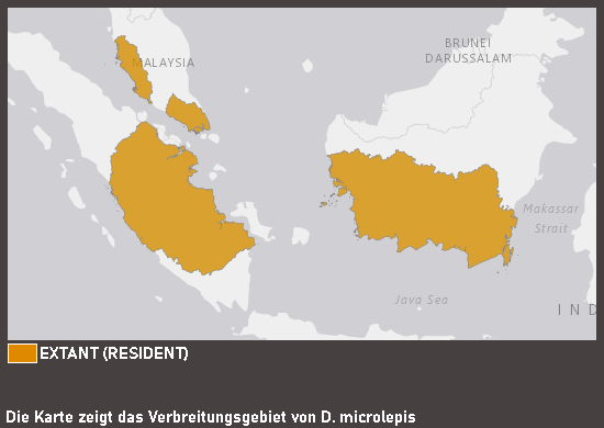 Verbreitungskarte Tigerbarsch