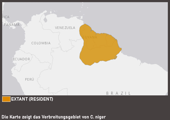Verbreitungskarte Tupfenbartvogel