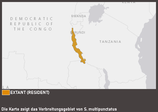 Verbreitungskarte Vielpunkt-Fiederbartwels