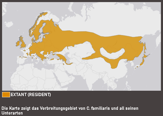 Verbreitungskarte Waldbaumläufer